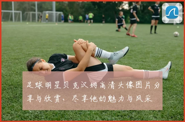 足球明星贝克汉姆高清头像图片分享与欣赏，尽享他的魅力与风采