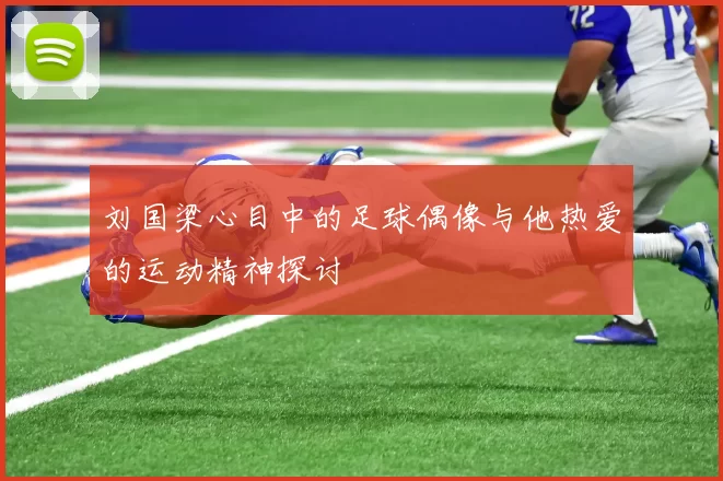刘国梁心目中的足球偶像与他热爱的运动精神探讨