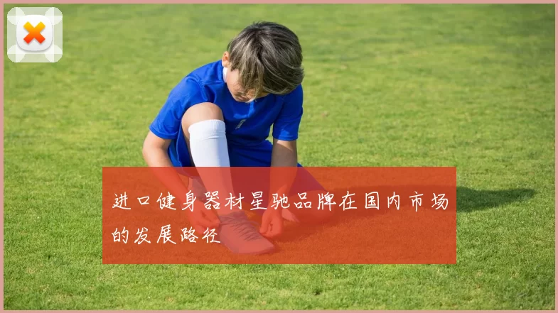 进口健身器材星驰品牌在国内市场的发展路径