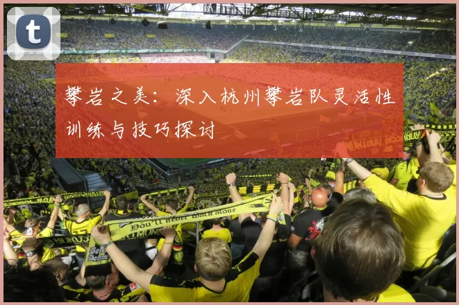 攀岩之美：深入杭州攀岩队灵活性训练与技巧探讨