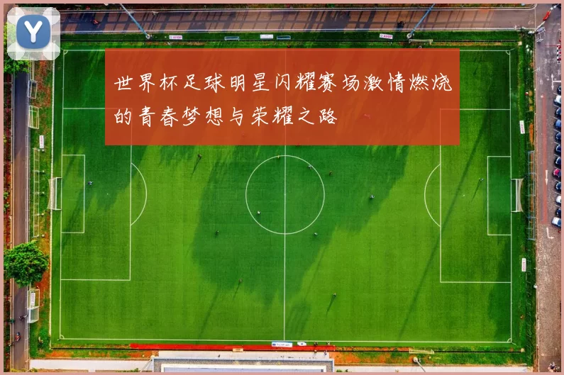 世界杯足球明星闪耀赛场激情燃烧的青春梦想与荣耀之路