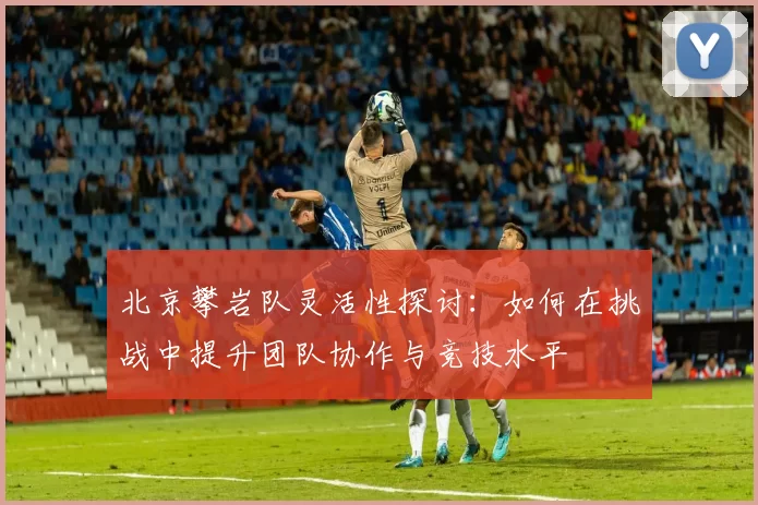 北京攀岩队灵活性探讨：如何在挑战中提升团队协作与竞技水平