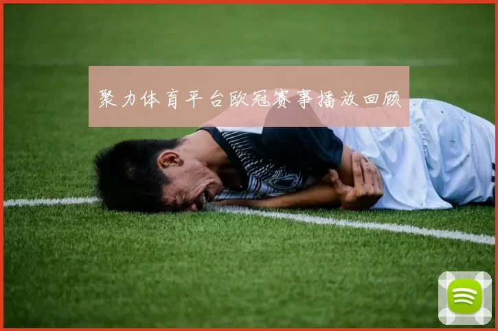 聚力体育平台欧冠赛事播放回顾