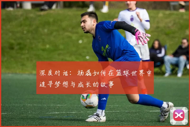 深度对话：杨磊如何在篮球世界中追寻梦想与成长的故事