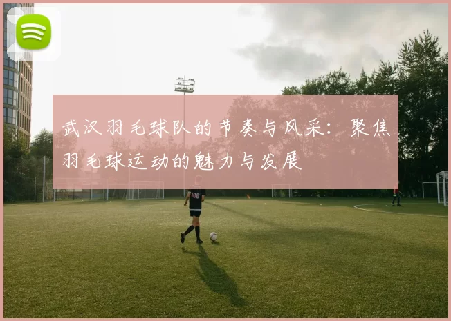 武汉羽毛球队的节奏与风采：聚焦羽毛球运动的魅力与发展