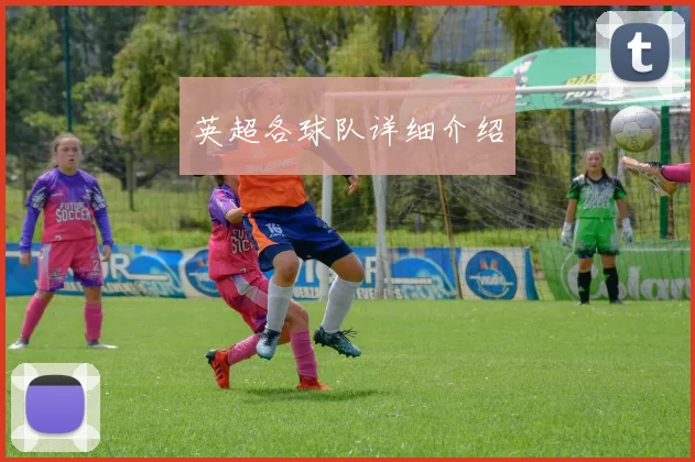 英超各球队详细介绍