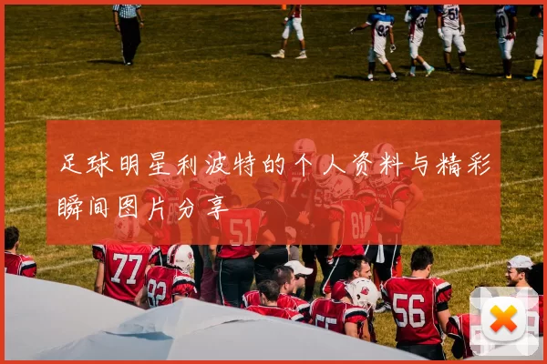 足球明星利波特的个人资料与精彩瞬间图片分享