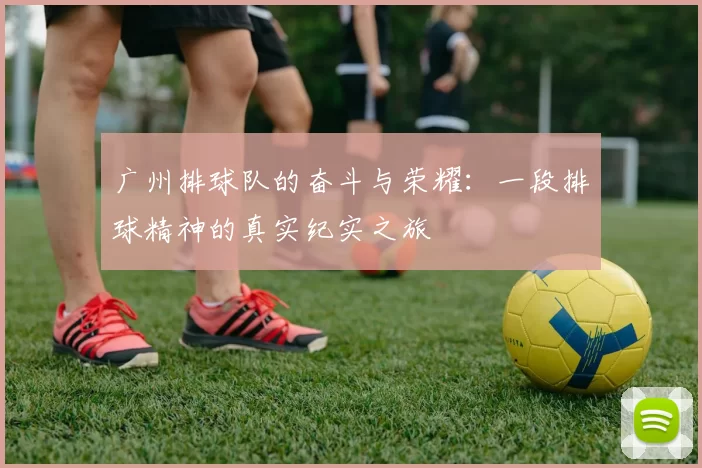 广州排球队的奋斗与荣耀：一段排球精神的真实纪实之旅