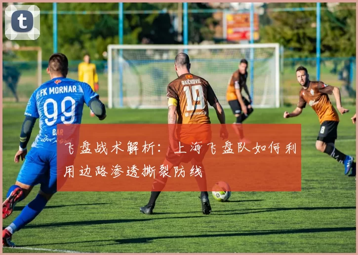 飞盘战术解析：上海飞盘队如何利用边路渗透撕裂防线