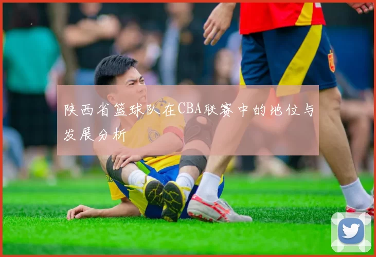 陕西省篮球队在CBA联赛中的地位与发展分析