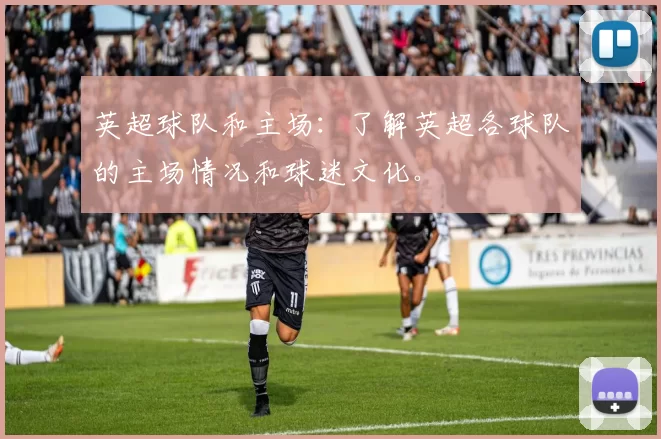英超球队和主场：了解英超各球队的主场情况和球迷文化。