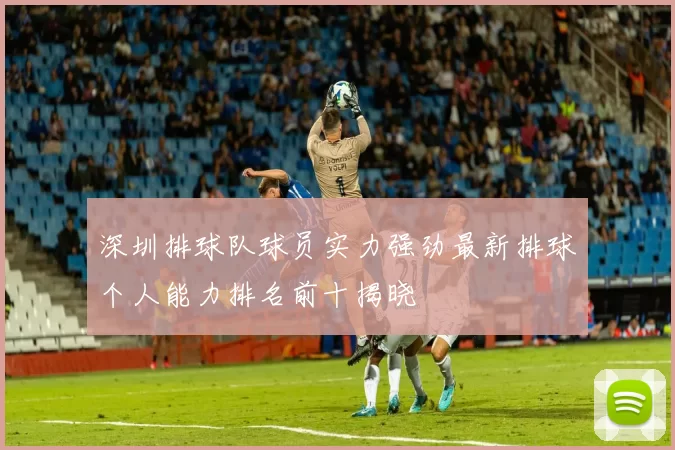 深圳排球队球员实力强劲最新排球个人能力排名前十揭晓