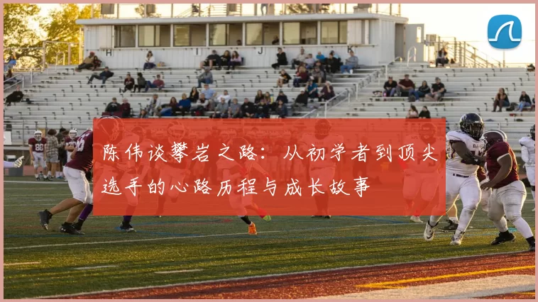 陈伟谈攀岩之路：从初学者到顶尖选手的心路历程与成长故事