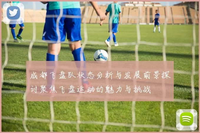成都飞盘队状态分析与发展前景探讨聚焦飞盘运动的魅力与挑战