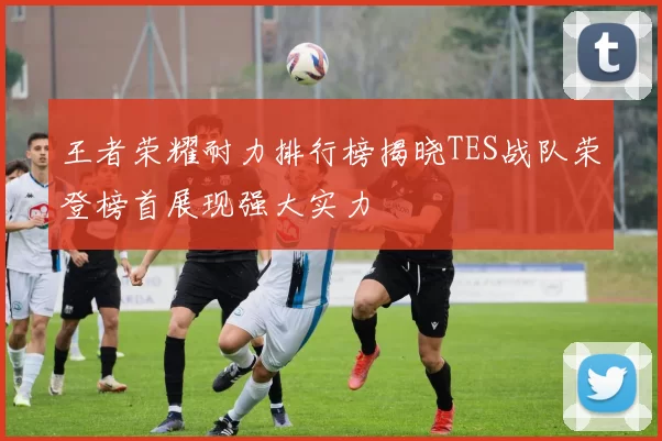 王者荣耀耐力排行榜揭晓TES战队荣登榜首展现强大实力